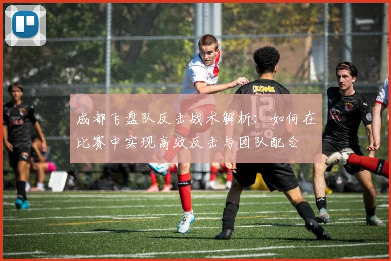 成都飞盘队反击战术解析：如何在比赛中实现高效反击与团队配合