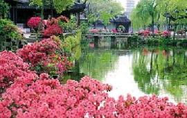 杭州地接旅游线路全解析 杭州美达国际旅行社与杭州国际旅行社服务指南